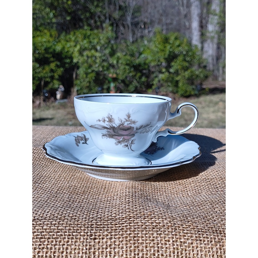 Vintage Johann Haviland Sepia Rose Tea Cup Saucer Coffee Mug Set Bavaria Germany